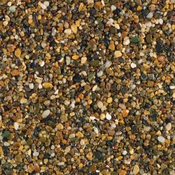 Golden Pea